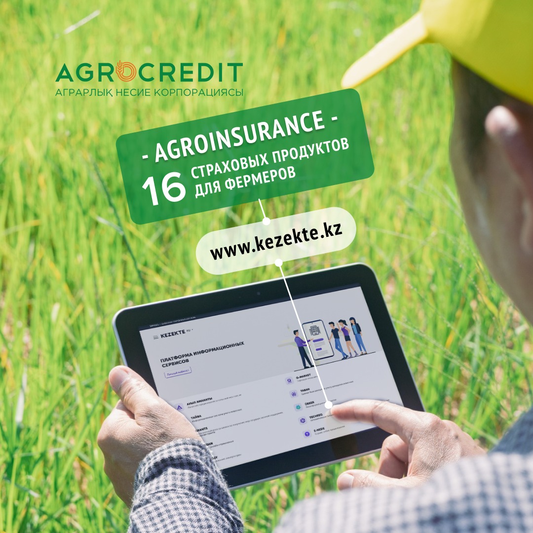 The Agrarian Credit Corporation announces the start of accepting applications from insurance companies for crop insurance against drought for grains and oilseeds for 2024.