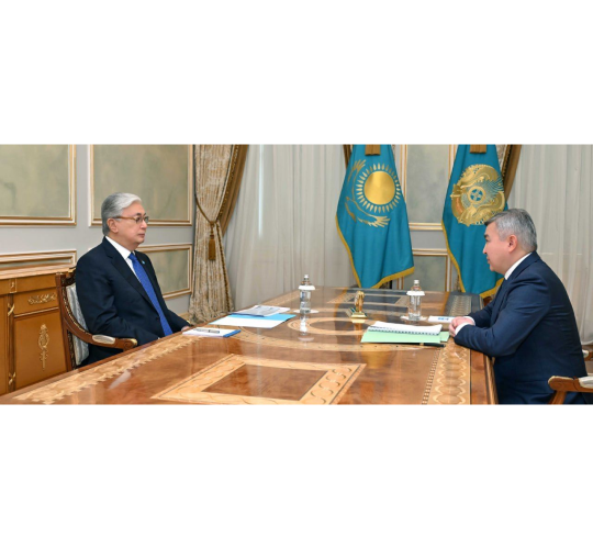 Глава государства принял председателя правления АО «Национальный управляющий холдинг «Байтерек» Нурлана Байбазарова