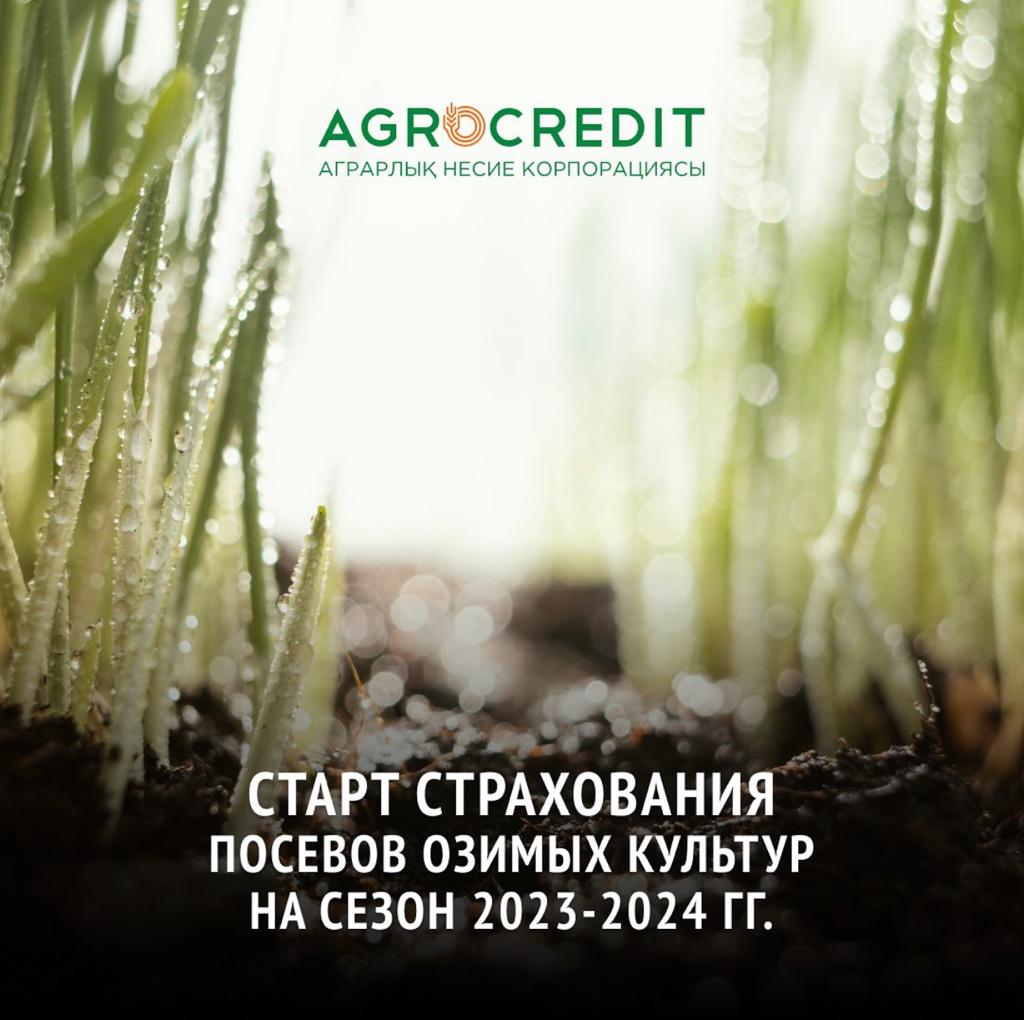 Старт страхования посевов озимых культур на сезон 2023-2024 гг.