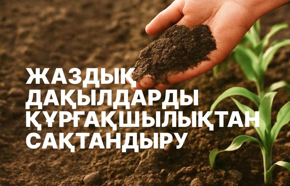 Корпорация 2026-жылдың жаздық дақылдарын құрғақшылықтан сақтандыруға өтінім қабылдауды бастады