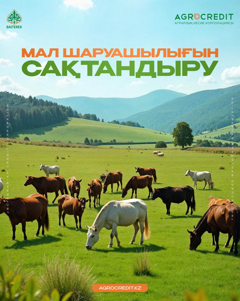 Application Intake for Livestock Insurance Continues
