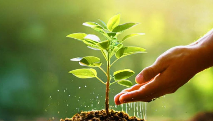 Ұялшақ қыздардың орысша порносы