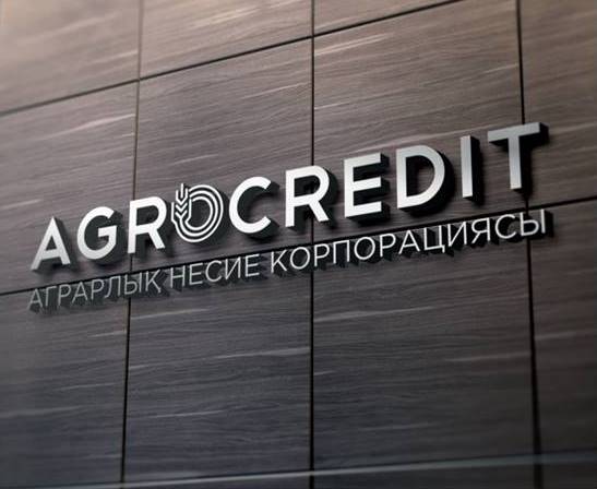 Айболат Абенов возглавил Аграрную кредитную корпорацию