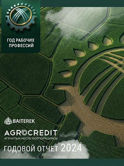 Годовой отчет 2024