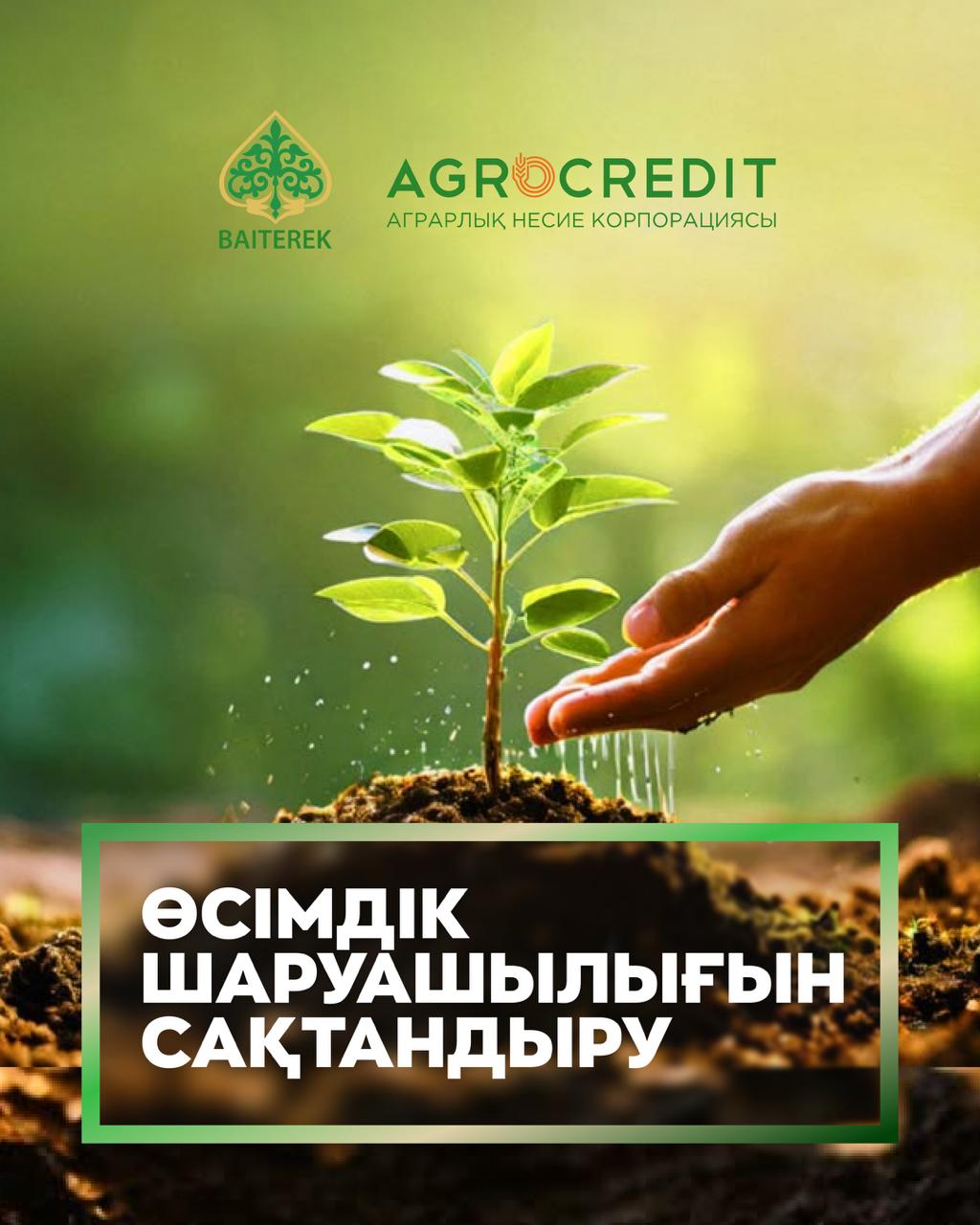 Торент ішінде аяқталды