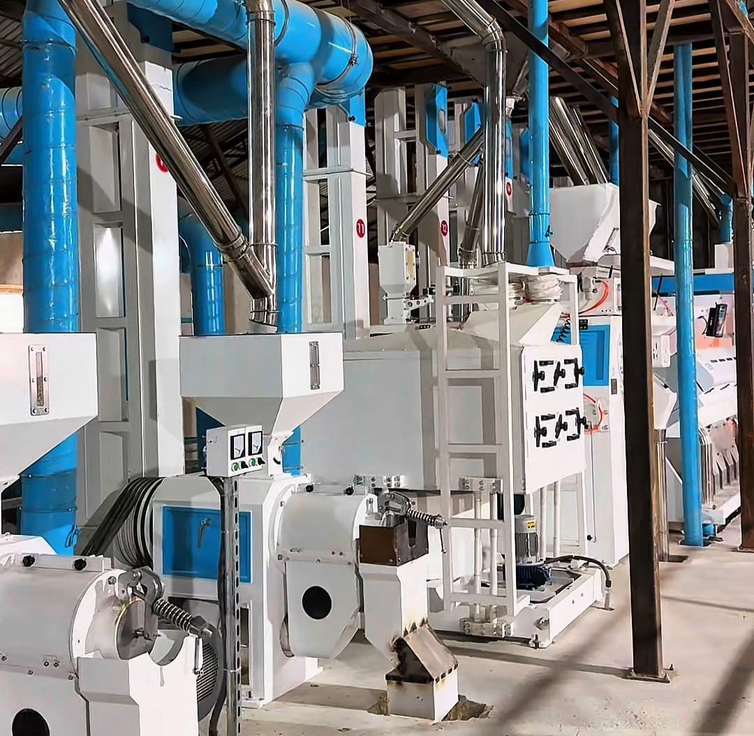 «Ақмая» жылына 4 мың тонна күріш өңдейді