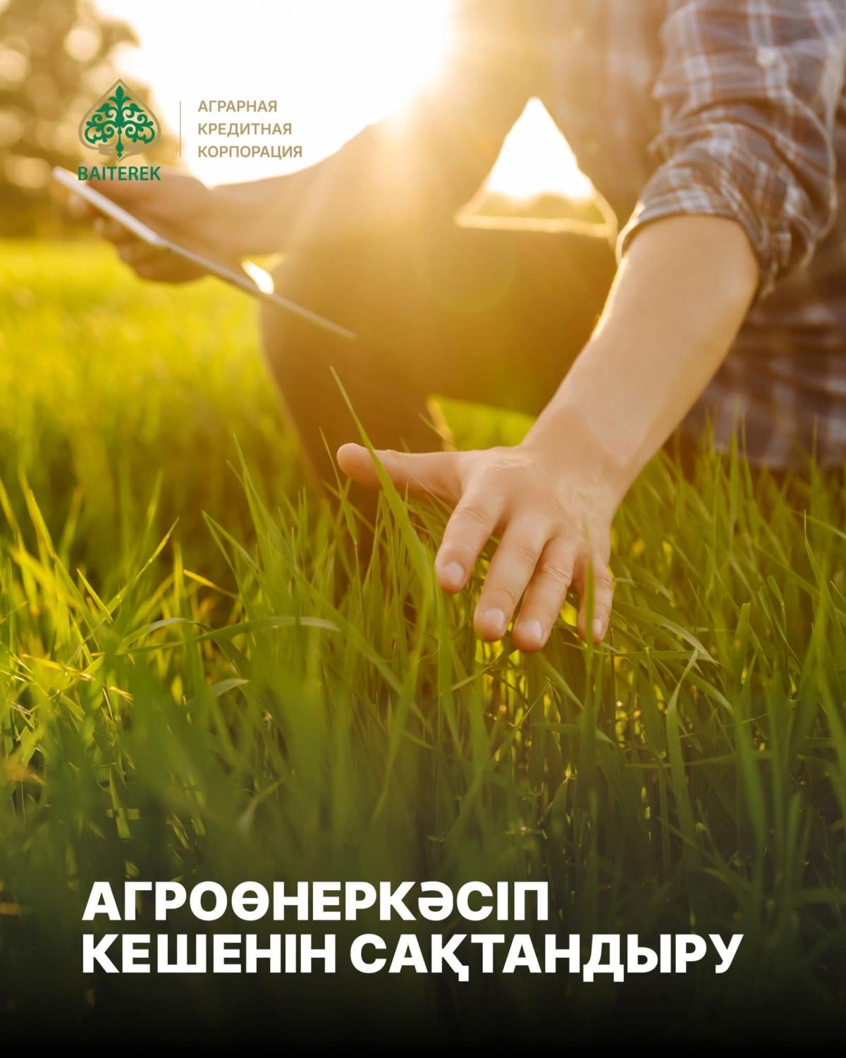 «Аграрлық несие корпорациясы» АҚ өсімдік шаруашылығы және мал шаруашылығы салаларындағы сақтандыру шарттары бойынша сақтандыру сыйақыларының бір бөлігін субсидиялауға өтінімдер қабылдаудың басталғанын хабарлайды