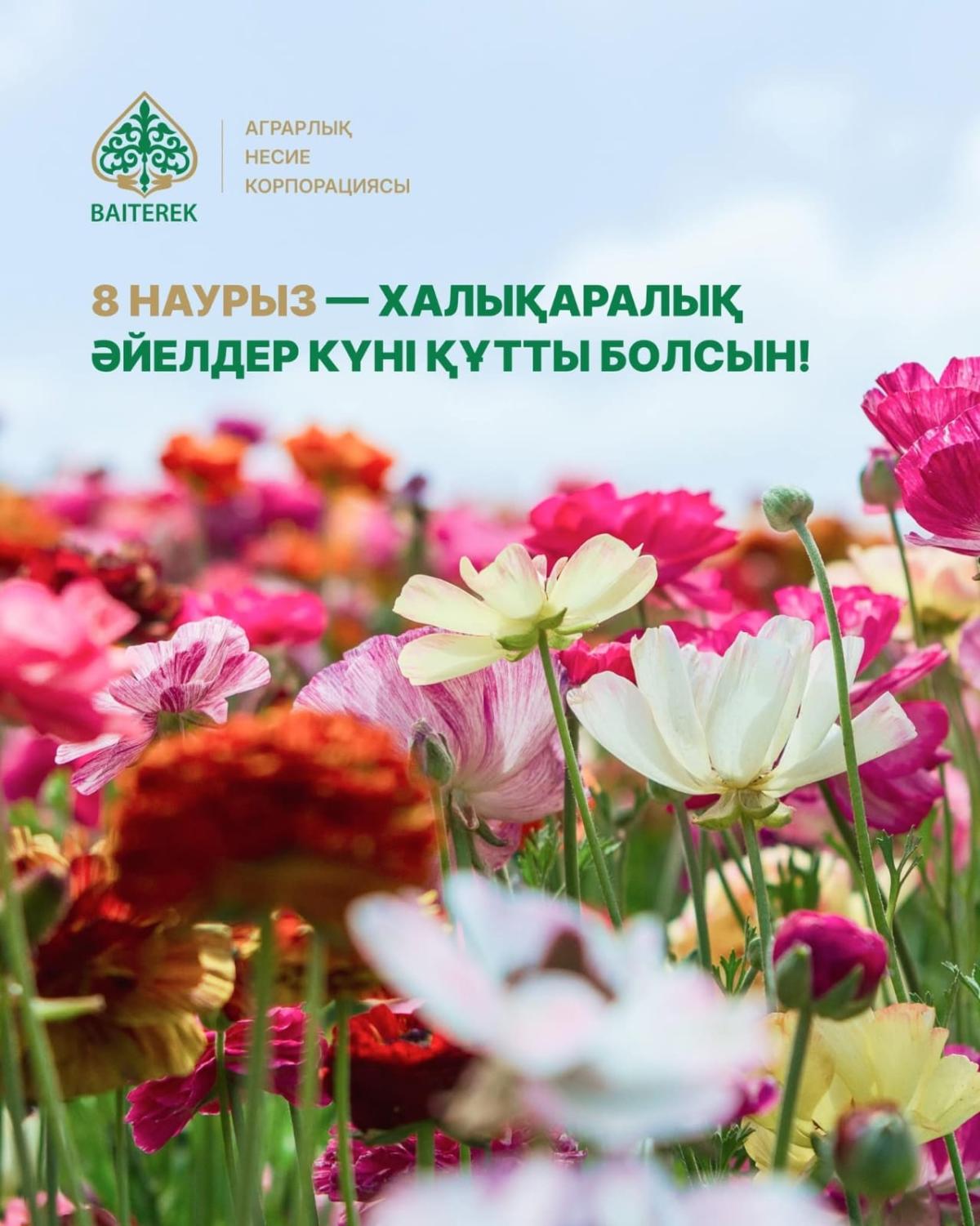 Уважаемые дамы, дорогие мамы и милые девушки!