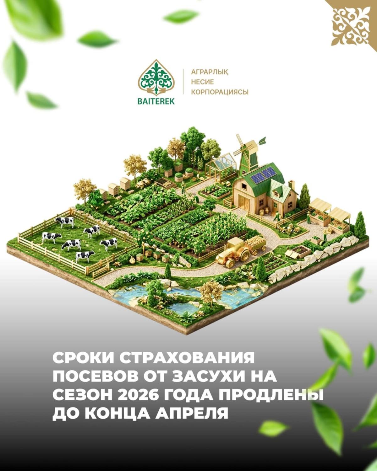 Период приема заявок на страхование яровых сельскохозяйственных культур от дефицита влаги официально продлен до 30 апреля 2026 года включительно.