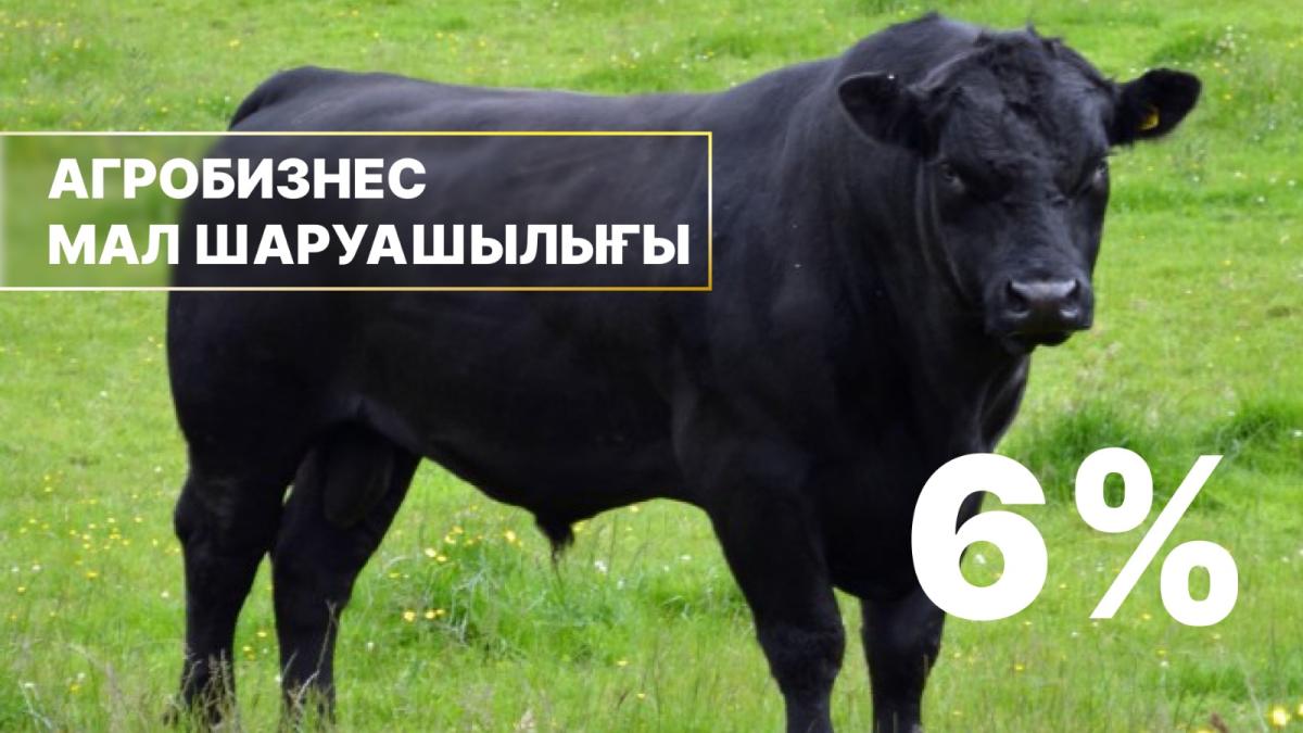 Қазақстанда мал шаруашылығына жеңілдетілген несиелеу басталды