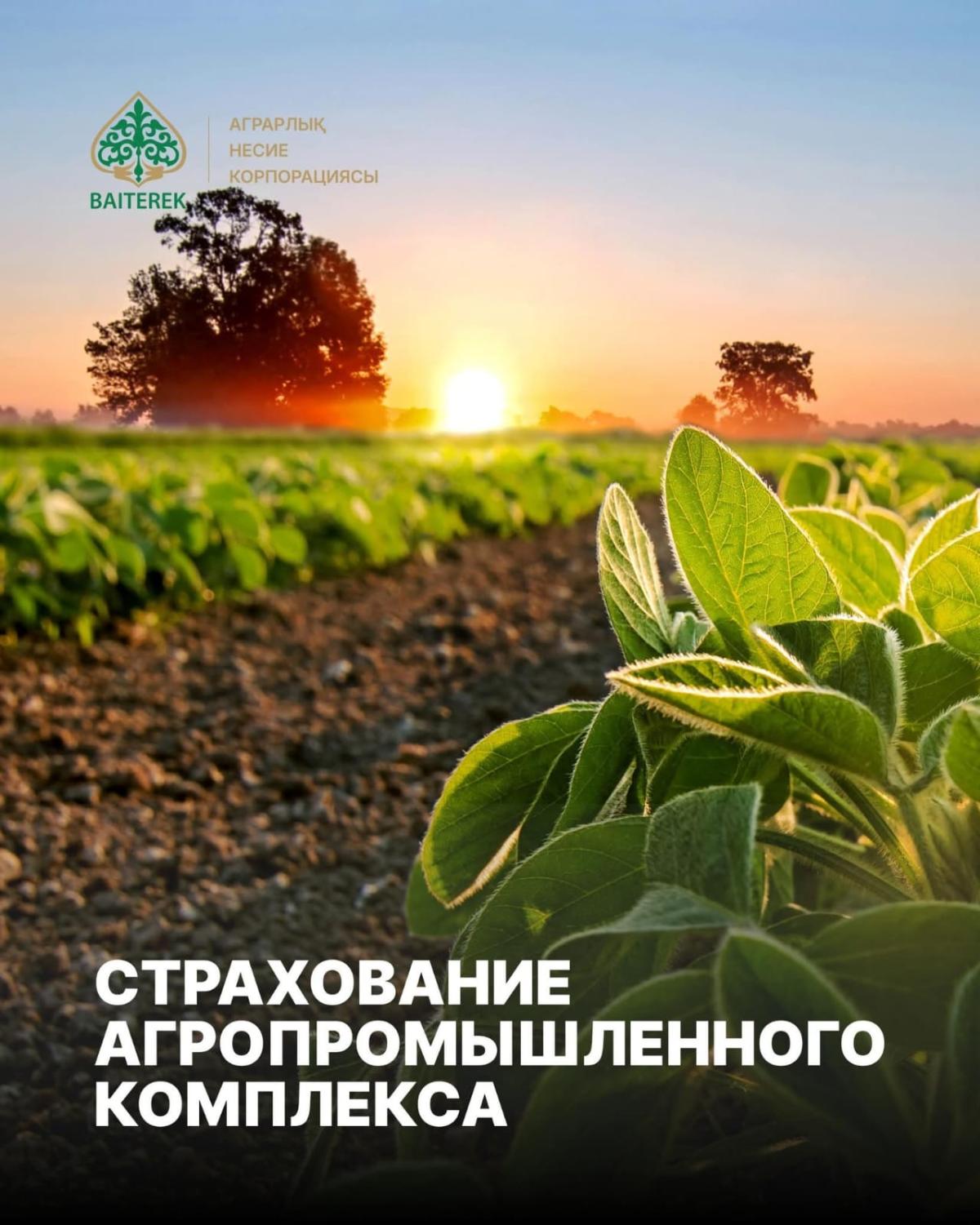 АО «Аграрная кредитная корпорация» сообщает о приостановлении приема заявок на субсидирование страховой премии в агропромышленном комплексе.
