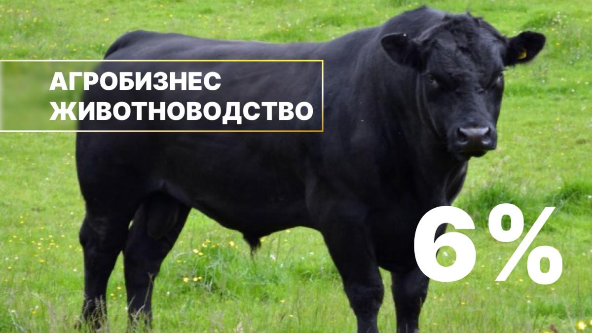 Льготное кредитование животноводства началось в Казахстане